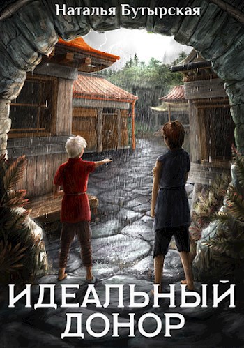 Читать книгу идеальный мир
