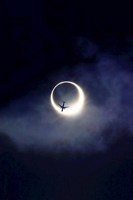 Обложка произведения Одинокая луна