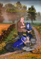 Обложка произведения Истории Блуждающего Лиса.