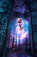 Обложка произведения Дыааланец