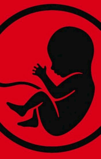 Обложка произведения Abortus