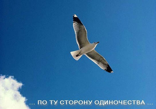 Обложка произведения По ту сторону одиночества