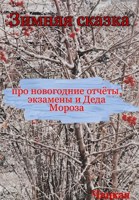 Обложка произведения зимняя сказка