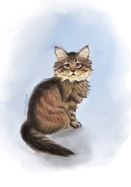 Иллюстрация