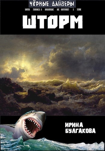 Обложка произведения Шторм
