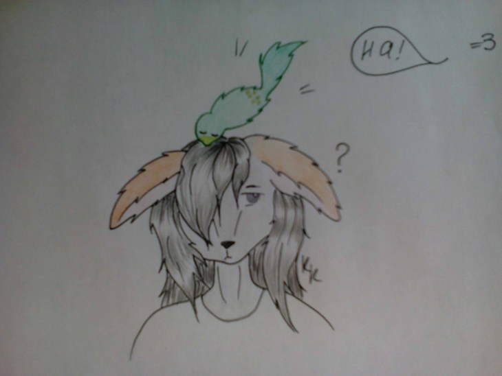 Иллюстрация