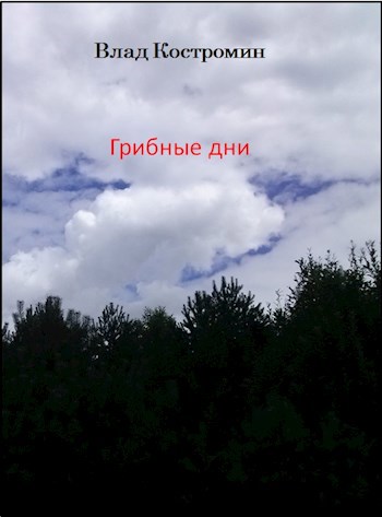 Обложка произведения Грибные дни