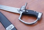 Обложка произведения Достойная альтернатива