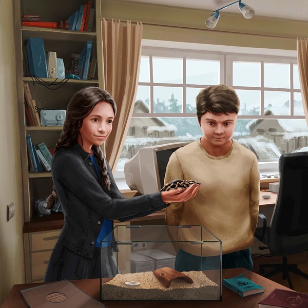 Иллюстрация