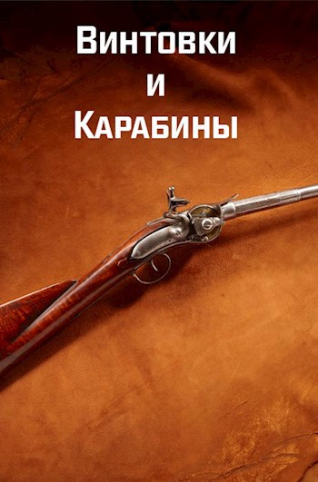 Винтовки книга. Книга винтовки и карабины. Длинное ружье рассказ. Капучино и ружье.