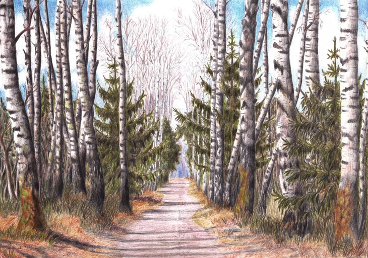 Иллюстрация