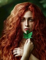 Обложка произведения Полнолуние, или какого лешего меня туда понесло?