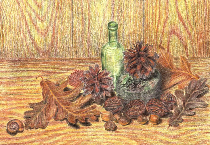 Иллюстрация