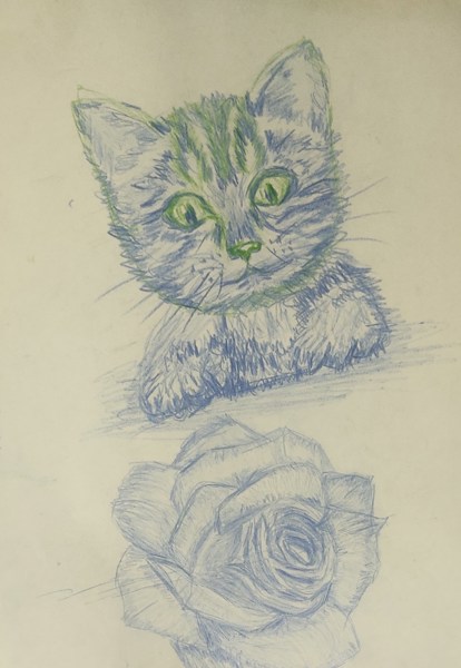 Иллюстрация