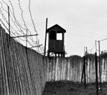 Обложка произведения Горькое лето двадцатого века