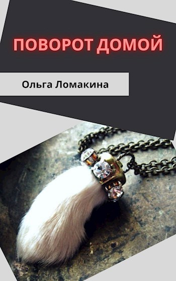 Обложка произведения Поворот домой