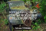Обложка произведения Вспоминая судьбу старых моторов в шведском лесу