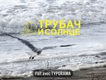 Обложка произведения Трубач и солнце