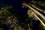 Обложка произведения Долгая дорога в Порт
