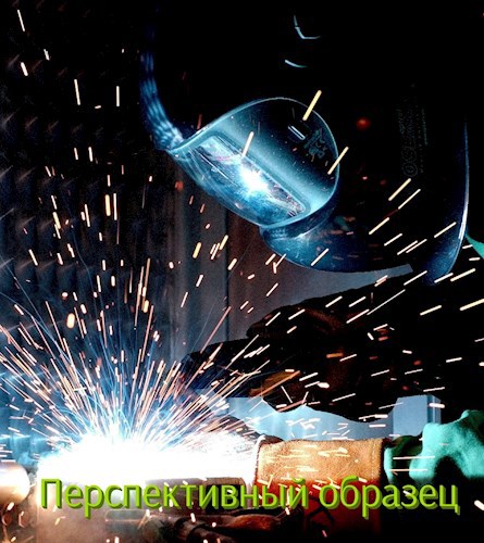 Обложка произведения Перспективный образец