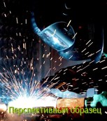 Обложка произведения Перспективный образец