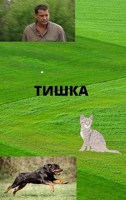 Обложка произведения Тишка