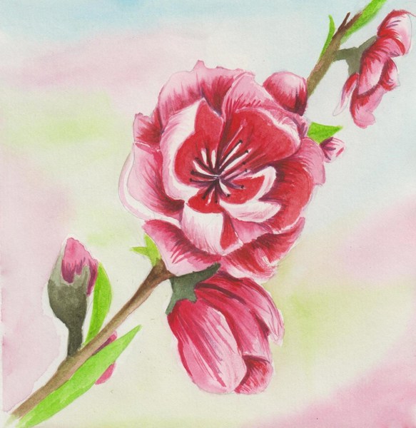 Иллюстрация