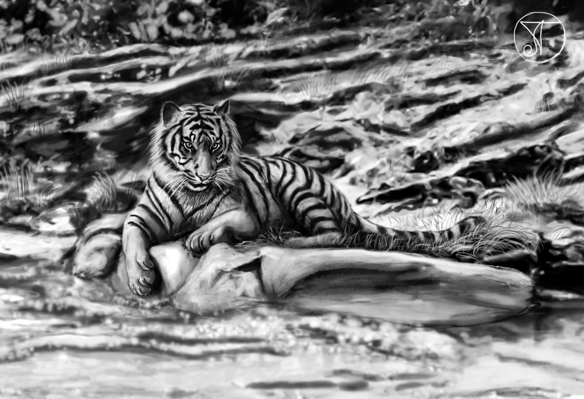 Тигр на ветке поза для успокоения. Тигр на мраморе Эхо. Тигрица на острове в кустах.