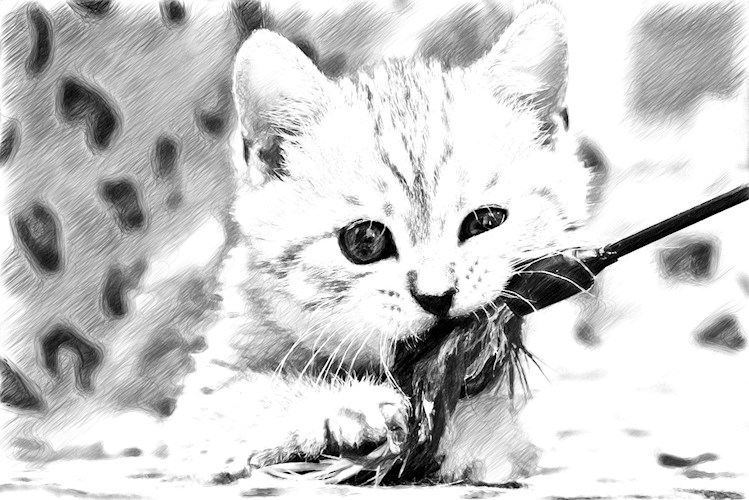 Обложка произведения Кошачий царь. Глава третья. Котобудни.