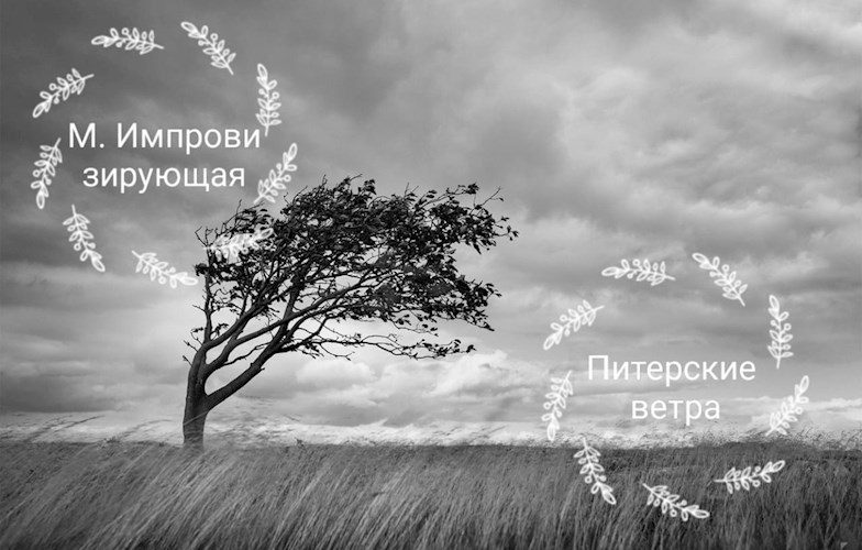 Обложка произведения Питерские ветра.