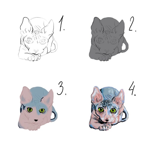 Иллюстрация