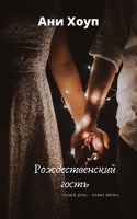 Обложка произведения Рождественский гость