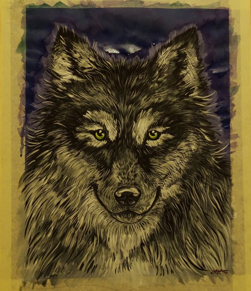 Иллюстрация