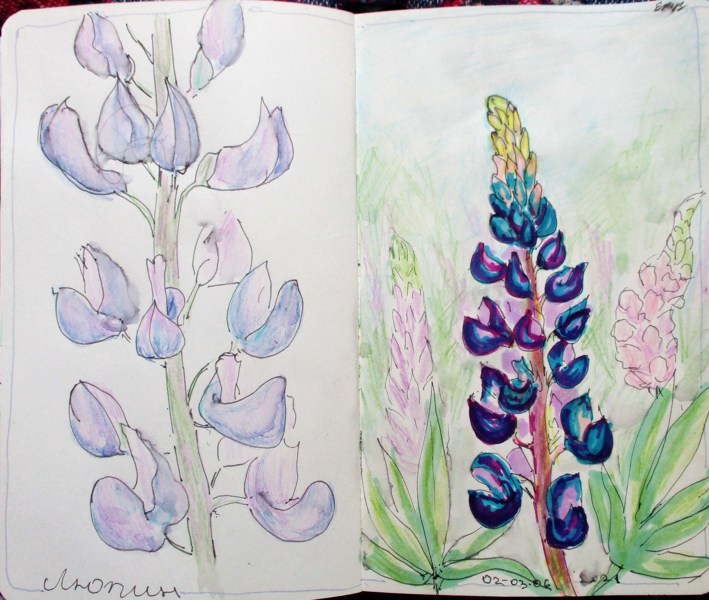 Иллюстрация