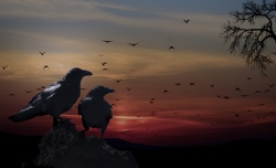 Источник: https://pixy...