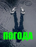 Обложка произведения Погода