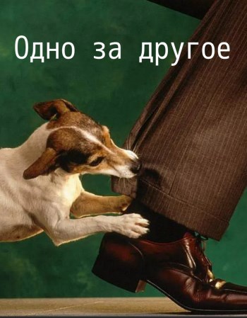 Обложка произведения Одно за другое