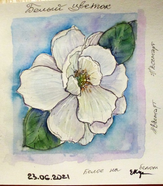 Иллюстрация