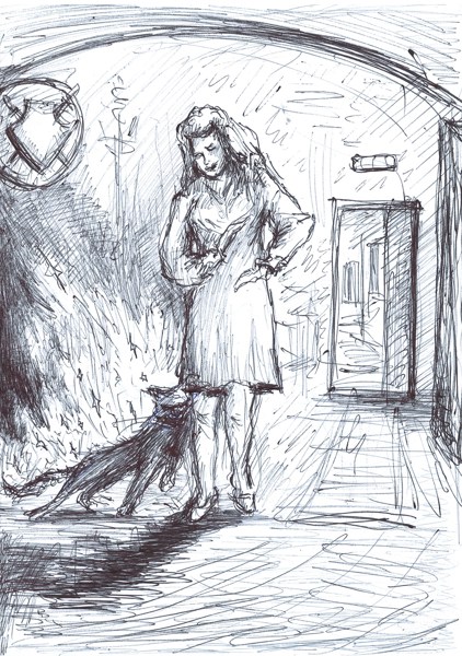 Иллюстрация