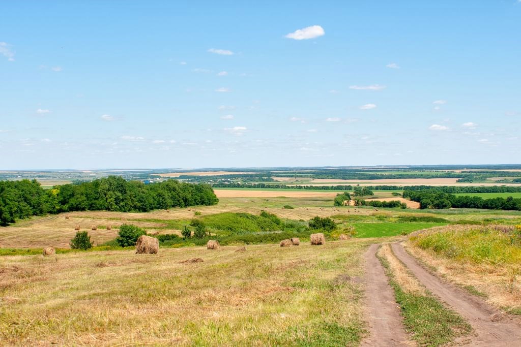 Зимовники Фото Поселка