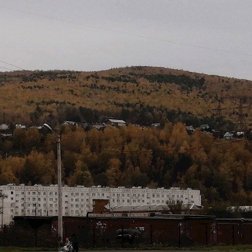 Обложка произведения Проза о жизни