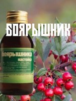 Обложка произведения Боярышник