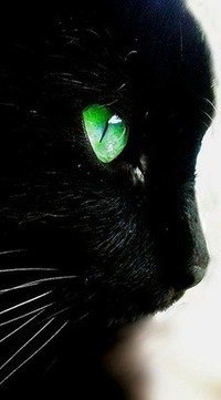 Обложка произведения Легенда о кошачьем глазе