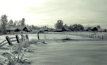Обложка произведения Последний житель
