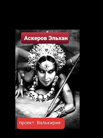 Эльхан аскеров проект валькирия читать онлайн бесплатно полностью