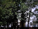 Обложка произведения Мертвым положено стоять молча