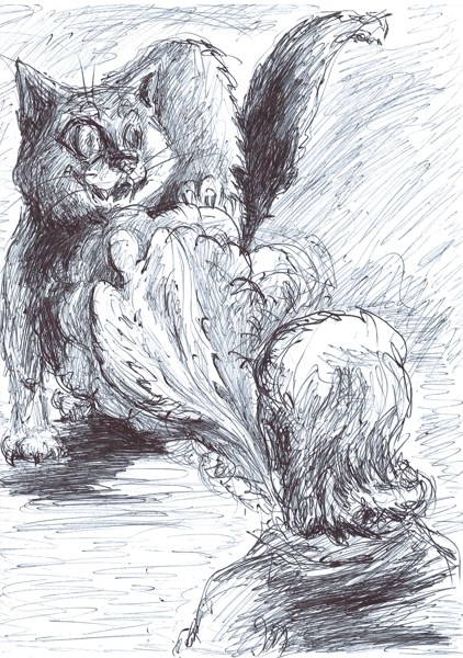 Иллюстрация