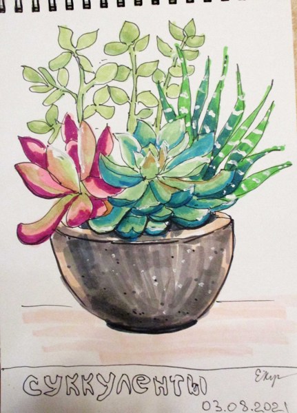 Иллюстрация