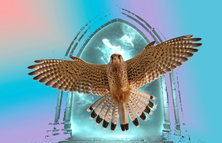 Иллюстрация