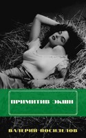 Обложка произведения Примитив Экшн